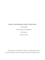 Analyzing Two Social Media Platforms to Identify A SM Market Strategy