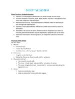 Clear, detailed, and exam-ready nursing notes on digestive system