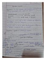 Human digestive system and human antonomy