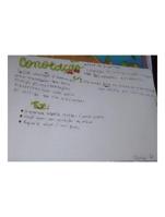 Denotao e conotao sentido figurado e sentido real.