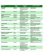 Infections Causative Agents and Body Systems Affected Microbiology