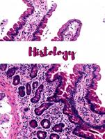 Neuronootes|Histology: Lesson2: covering epithelium tissue + Quizz