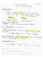 Ranker choice notes :photosynthesis in plants(Class 11 NEET Biology)