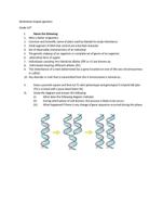 Biology Genetics  Class 10      Worksheet   Assignment Questions