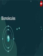 Biomolecules     Notes    Diagrams    Descriptions